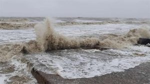 প্রচ্ছদ 110 প্রচ্ছদ