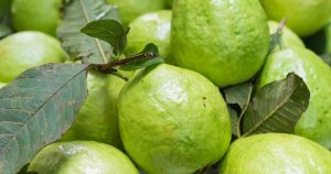 প্রচ্ছদ 181 প্রচ্ছদ