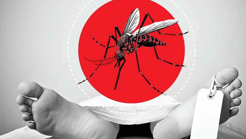 প্রচ্ছদ 175 প্রচ্ছদ