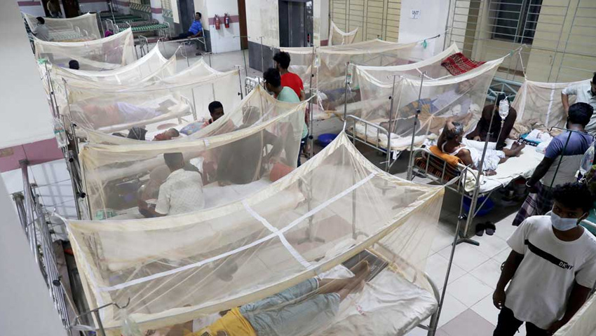 প্রচ্ছদ 176 প্রচ্ছদ