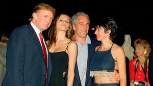 প্রচ্ছদ 44 প্রচ্ছদ