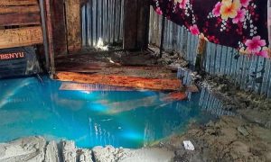 প্রচ্ছদ