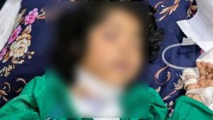 প্রচ্ছদ 23 প্রচ্ছদ