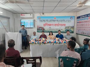 প্রচ্ছদ 25 প্রচ্ছদ