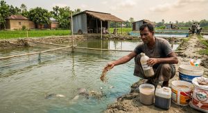 প্রচ্ছদ