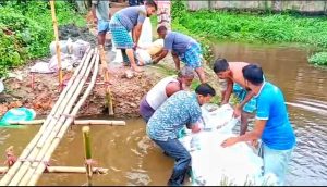 প্রচ্ছদ 30 প্রচ্ছদ
