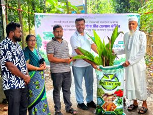 প্রচ্ছদ 95 প্রচ্ছদ