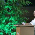 সুন্দরভাবে বেঁচে থাকার জন্যই সবুজায়ন জরুরি : প্রধানমন্ত্রী