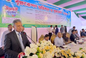 প্রচ্ছদ 12 প্রচ্ছদ
